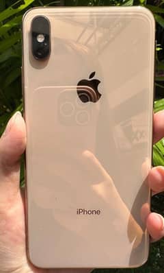 xs max pta approved 256