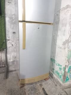 PEL Medium fridge