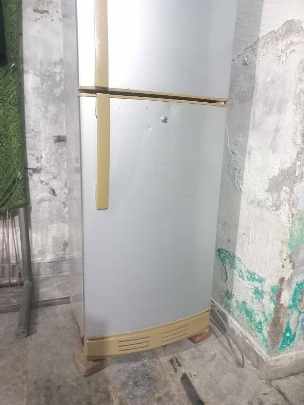 PEL Medium fridge 0