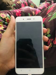 vivo y66 Dual Pta Approved