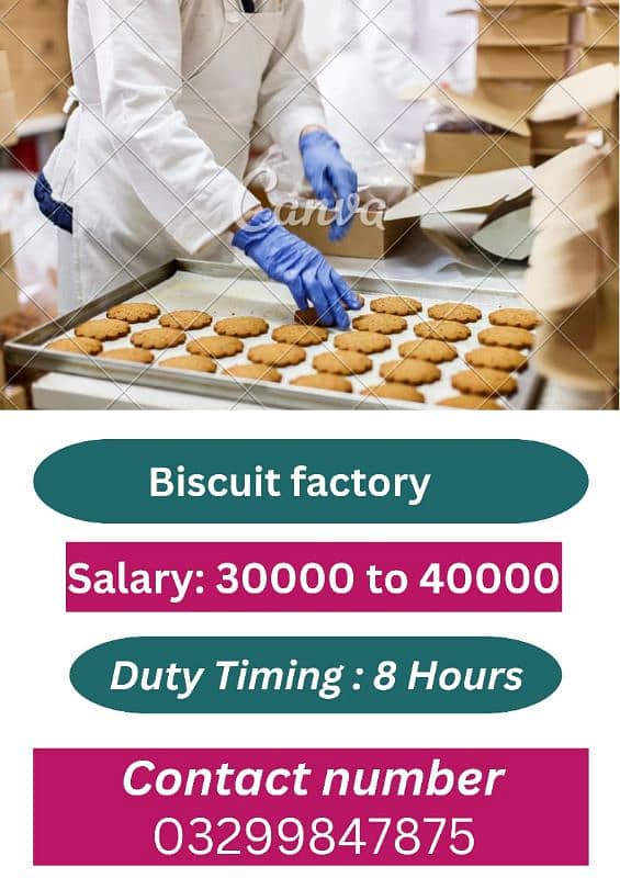 biscuits factory job available 0