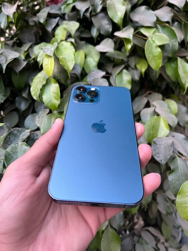 Iphone 12 Pro Max 256 Gb PTA Bh 94% 2