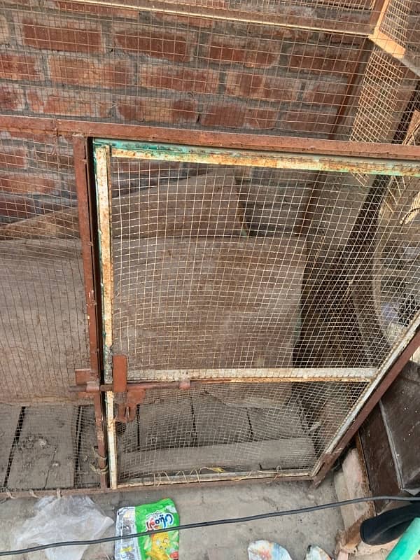 double portion cage for sale 4