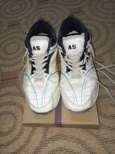 CA SPORTS CRICKET SHOES