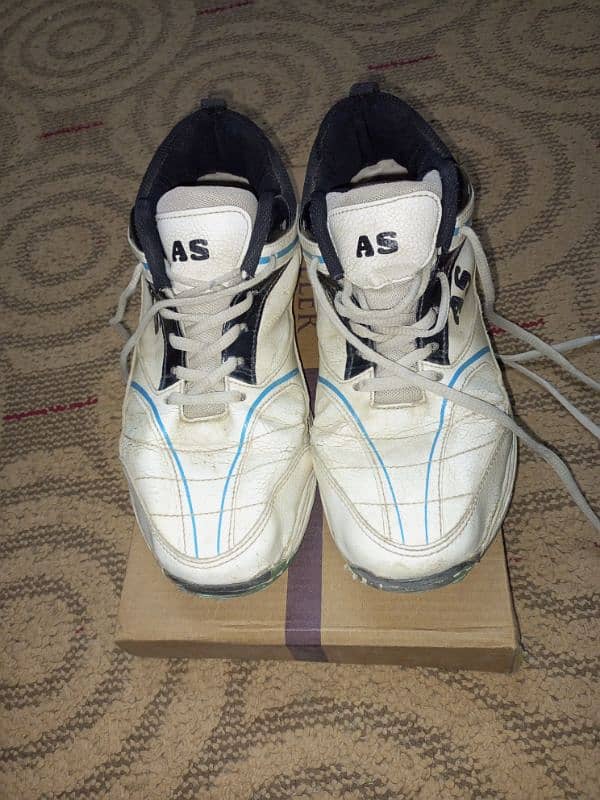 CA SPORTS CRICKET SHOES 0