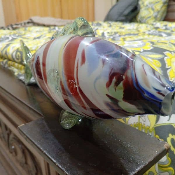 its is American glass fish it is very rere 0