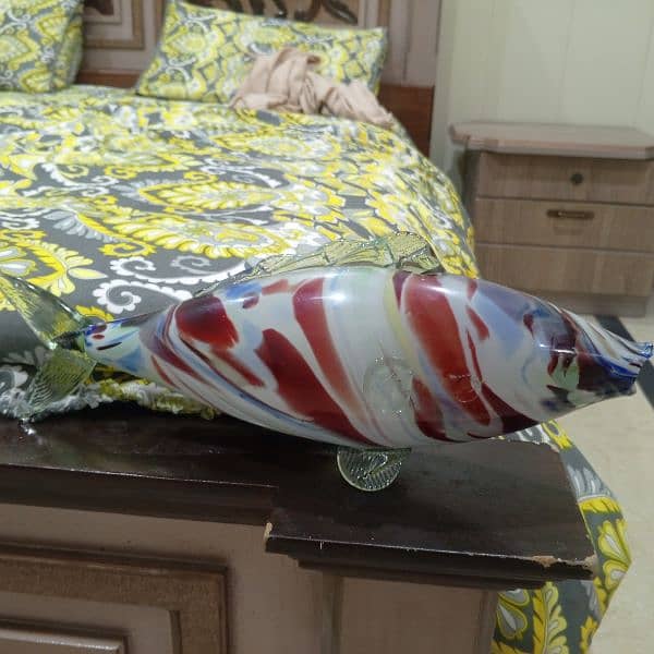 its is American glass fish it is very rere 3