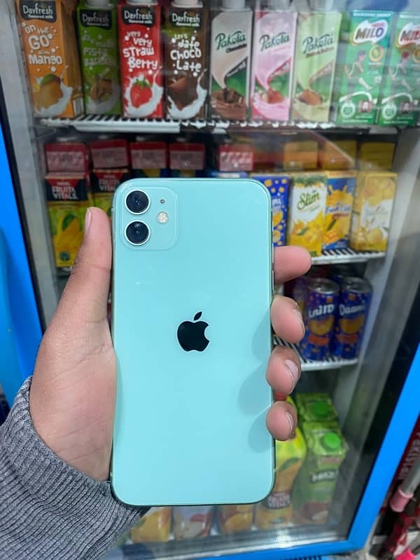 iphone 11 0