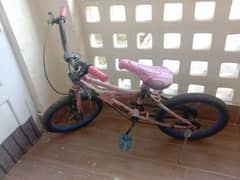 Kids Bicycle (4 to 7 years age)