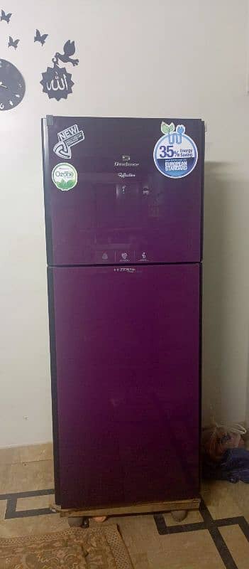 large size dowlance glass door fridge 1