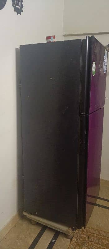 large size dowlance glass door fridge 2