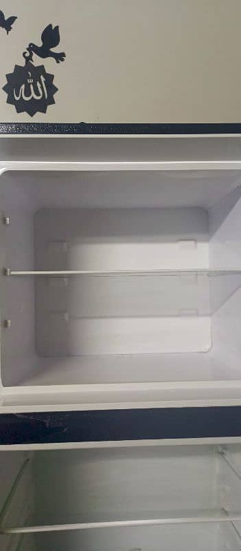 large size dowlance glass door fridge 3