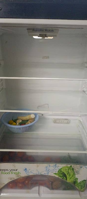 large size dowlance glass door fridge 4