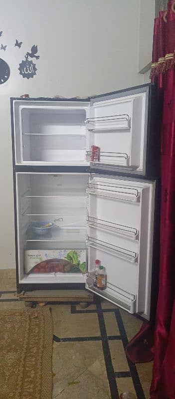 large size dowlance glass door fridge 5