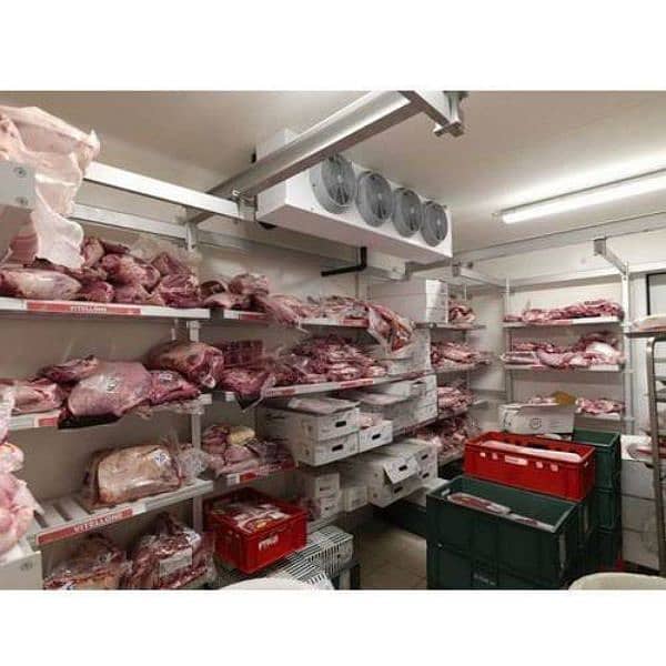 cold storage for meat, dairy, pharmaceutical items/reefer container 10