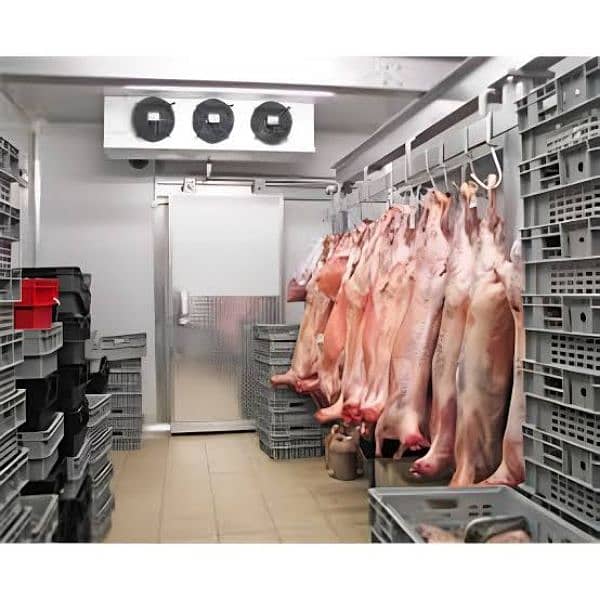 cold storage for meat, dairy, pharmaceutical items/reefer container 11