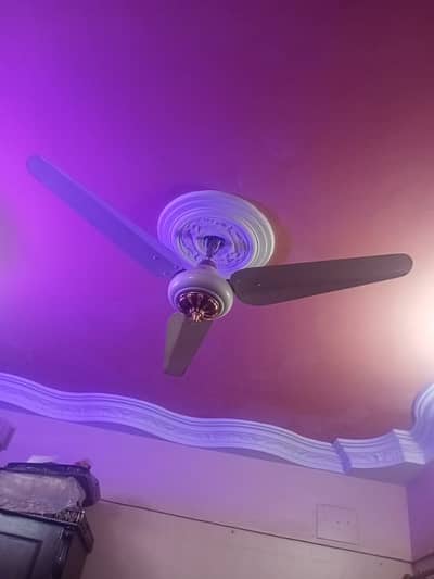 Orient Fan for Sale