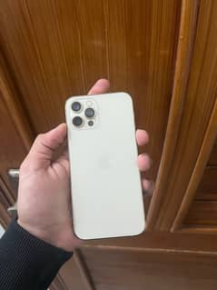 iphone 12 pro pta approved