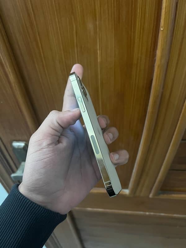 iphone 12 pro pta approved 4