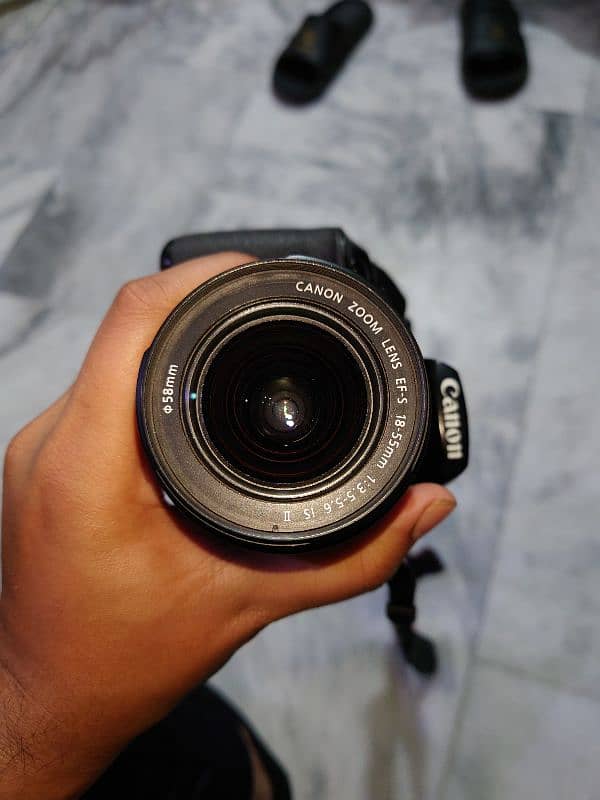 canon rebel t6 AKA 1300d with 75-300 lens , 5 years used 2