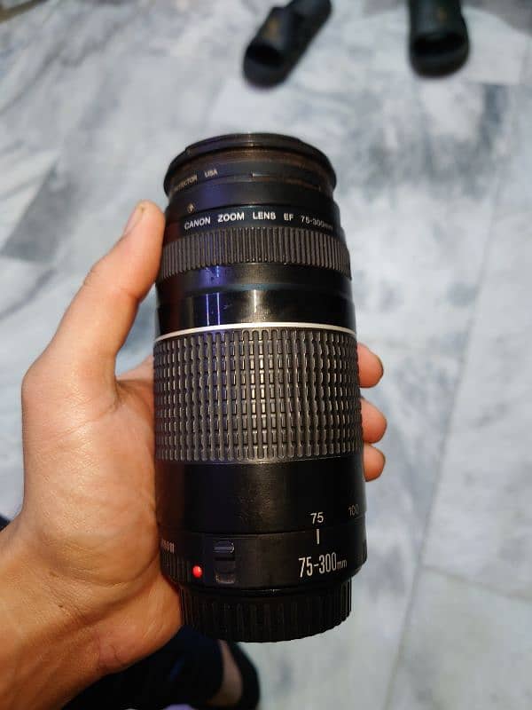 canon rebel t6 AKA 1300d with 75-300 lens , 5 years used 5