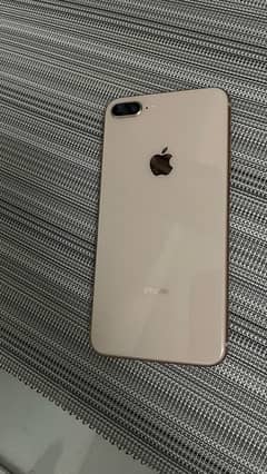 8 plus 256 pTA