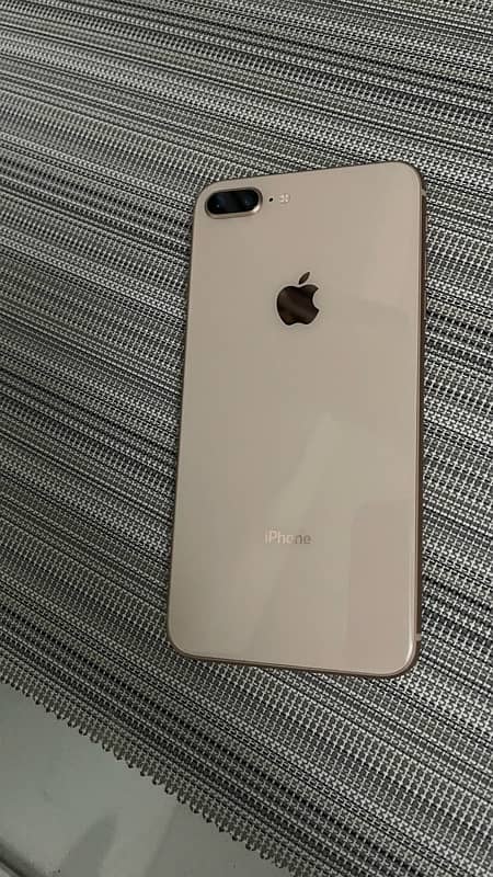 8 plus 256 pTA 0