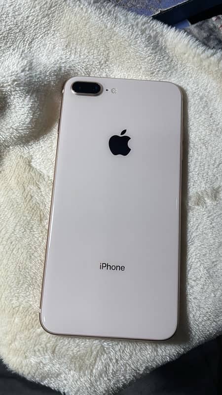 8 plus 256 pTA 1