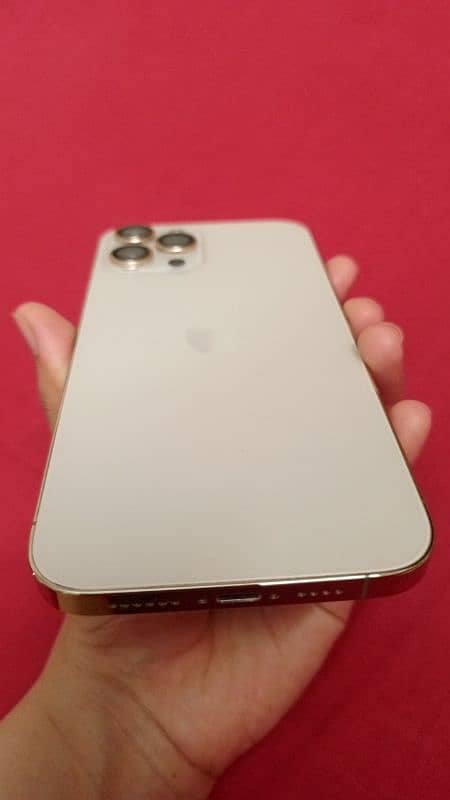 Iphone 12 pro max (256) gb 2