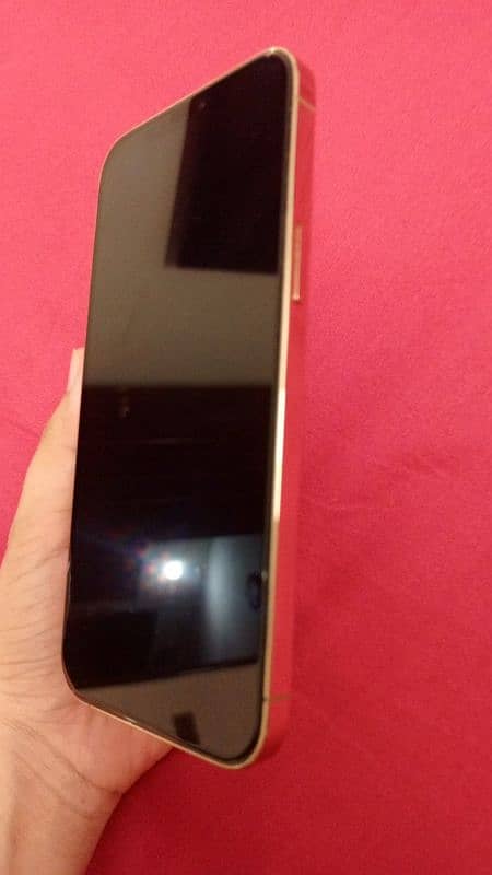 Iphone 12 pro max (256) gb 3