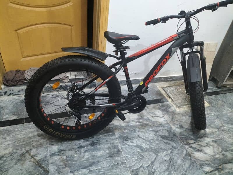 profox specialized Fatboy bicycle 1