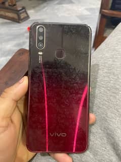 vivo