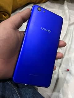 vivo