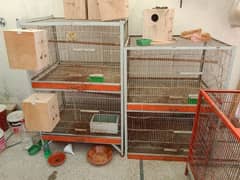 4 portions cage and colony cage