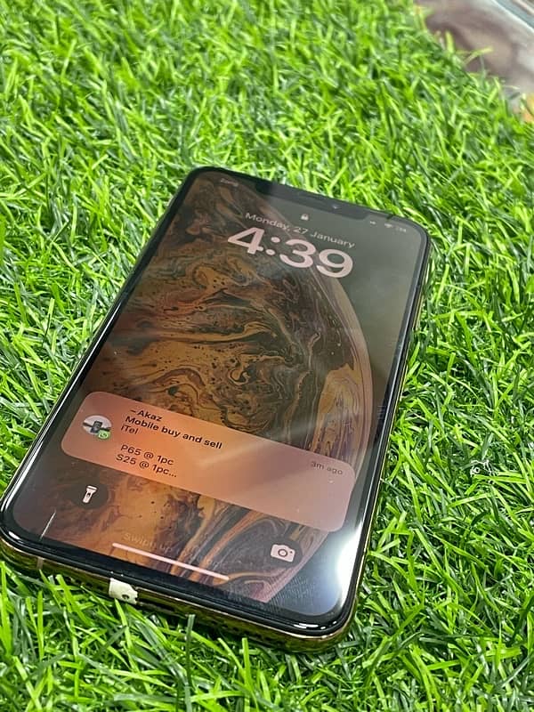 iPhone Xs Max 1