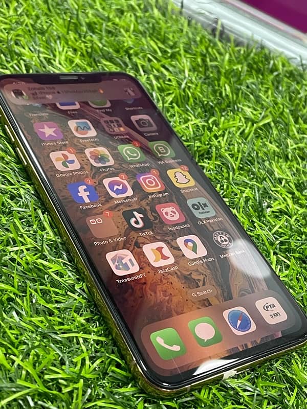 iPhone Xs Max 3