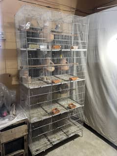 12 portion cage for sale