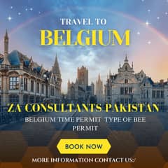 Belgium Work Visa Available - Belgium Work Visa Services in Sialkot