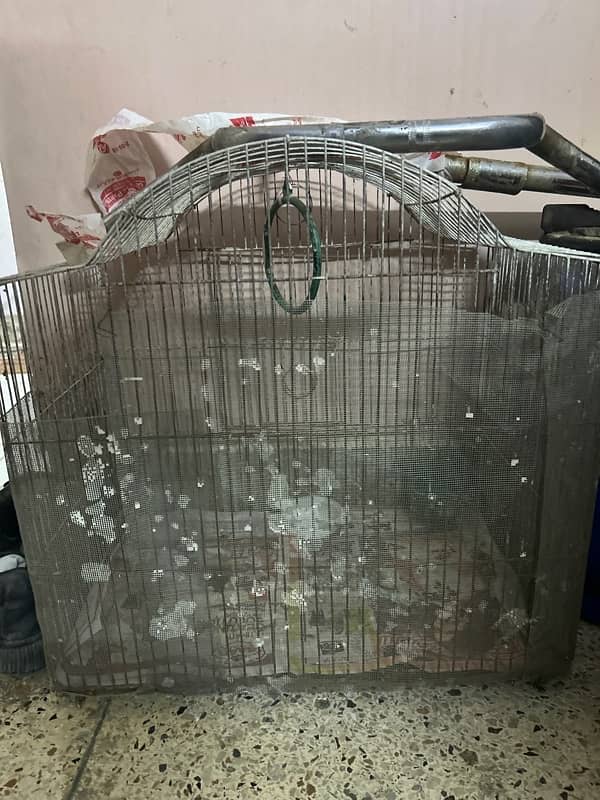 Cage Pinjra finches 0