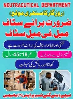 Male and female stuff required in Lahore. 03332957259