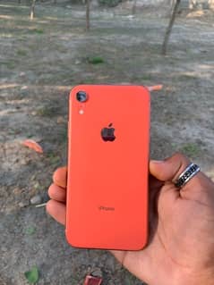 iPhone xr 10/10 condition