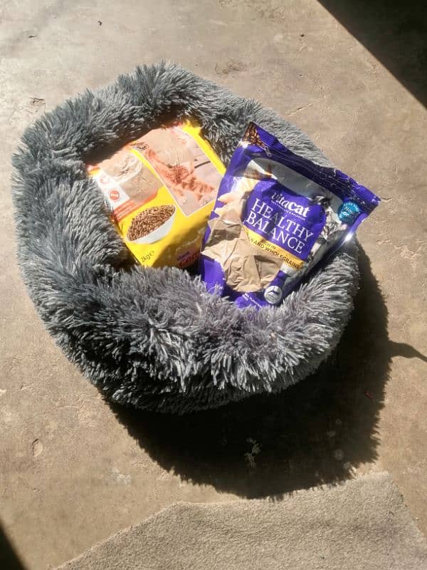 cat bed with cat food 3