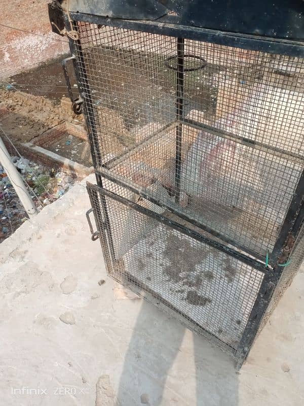 jali wala cage 1