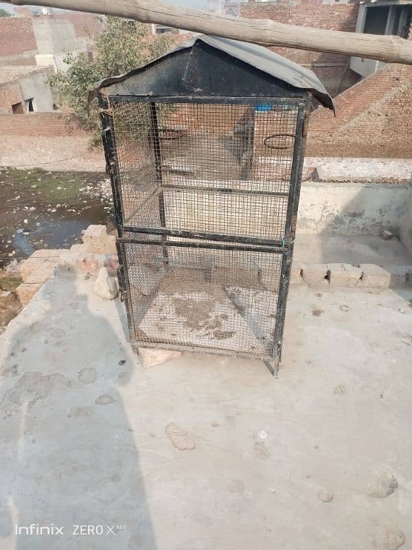 jali wala cage 2