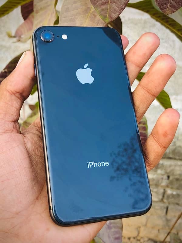 iPhone 8 Non Pta 64 Gb 3