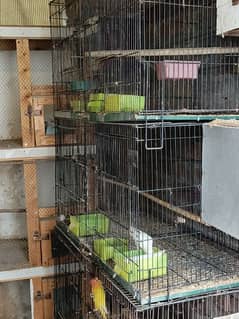 birds cage size 3x1.6 moveable +partition