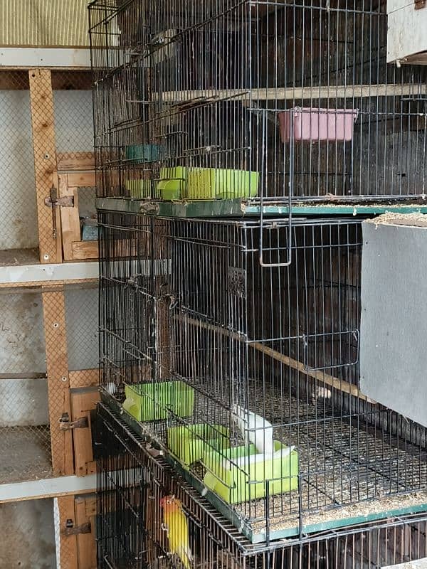 birds cage size 3x1.6 moveable +partition 0