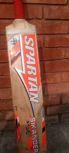 Cricket bat