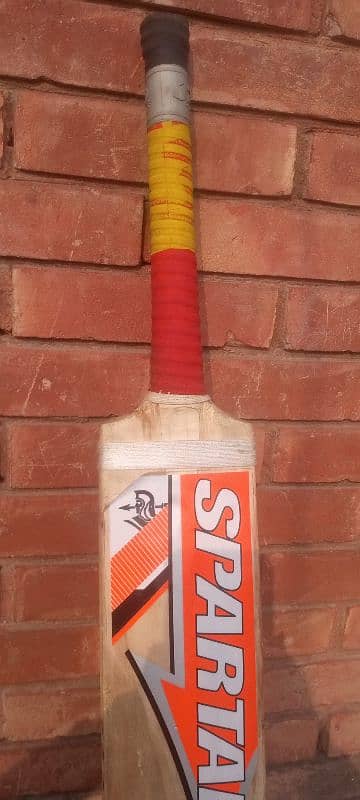 Cricket bat 1