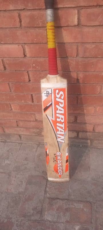 Cricket bat 3